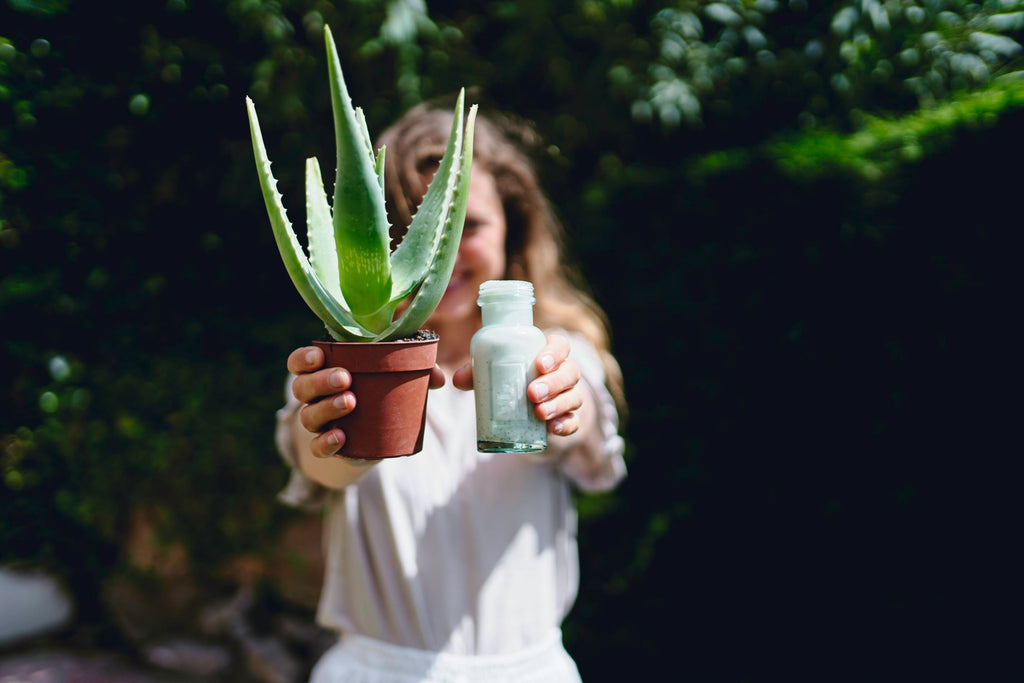 After Sun mit Aloe Vera selber machen I DIY