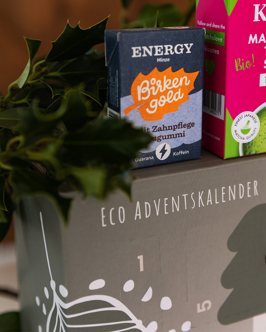 ECO Adventskalender 2026